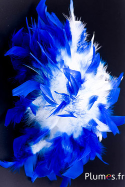 Coq mèche -10 cm - crème-bleu